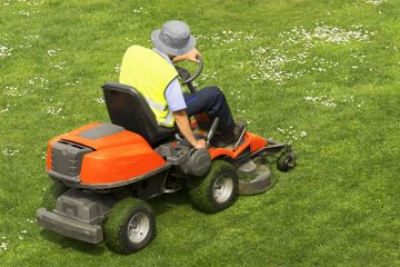 Lawn Cutting & Maintenance